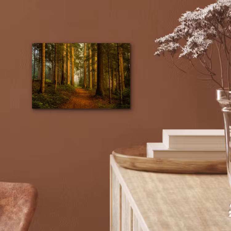 Aluminium schilderij - Bos - Natuur - Bomen - Landschap - Bladeren — 5