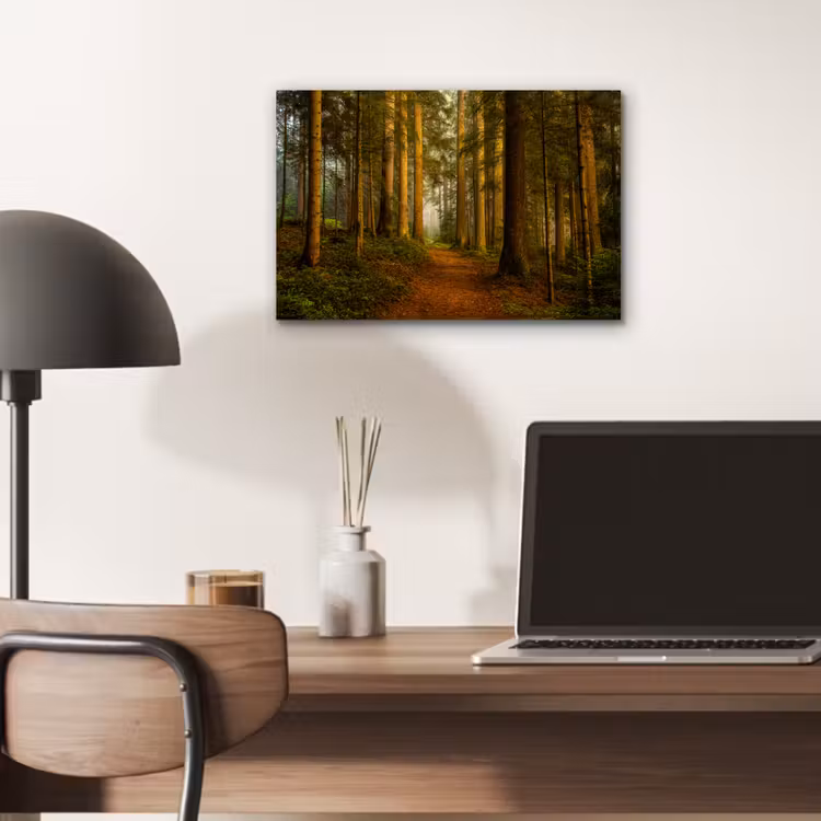Aluminium schilderij - Bos - Natuur - Bomen - Landschap - Bladeren — 6
