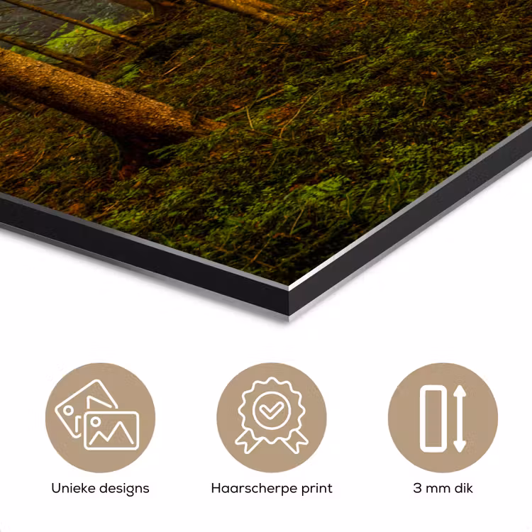 Aluminium schilderij - Bos - Natuur - Bomen - Landschap - Bladeren — 7