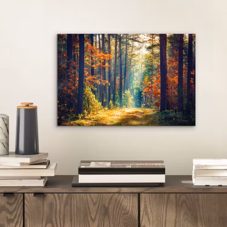 Aluminium schilderij - Bos - Zon - Natuur - Herfst — 2