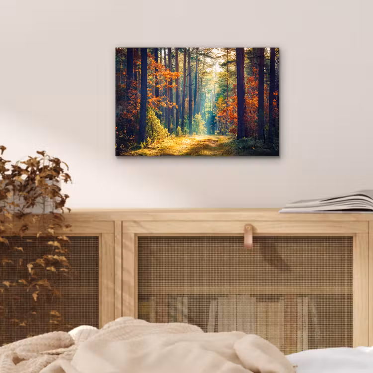 Aluminium schilderij - Bos - Zon - Natuur - Herfst — 4