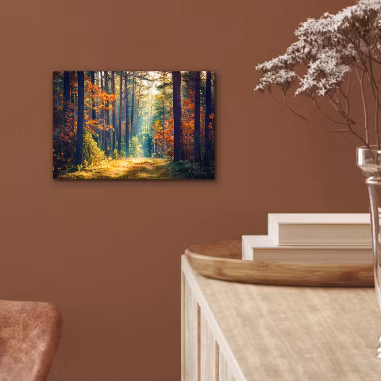 Aluminium schilderij - Bos - Zon - Natuur - Herfst — 5