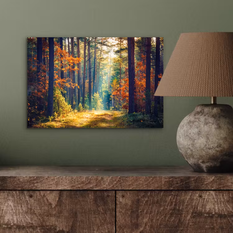 Aluminium schilderij - Bos - Zon - Natuur - Herfst — 3