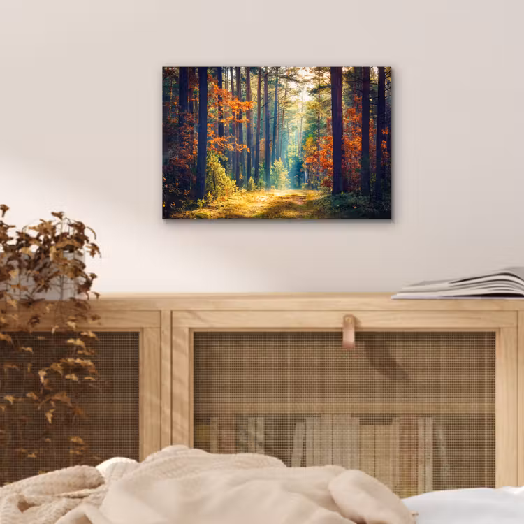 Aluminium schilderij - Bos - Zon - Natuur - Herfst — 4