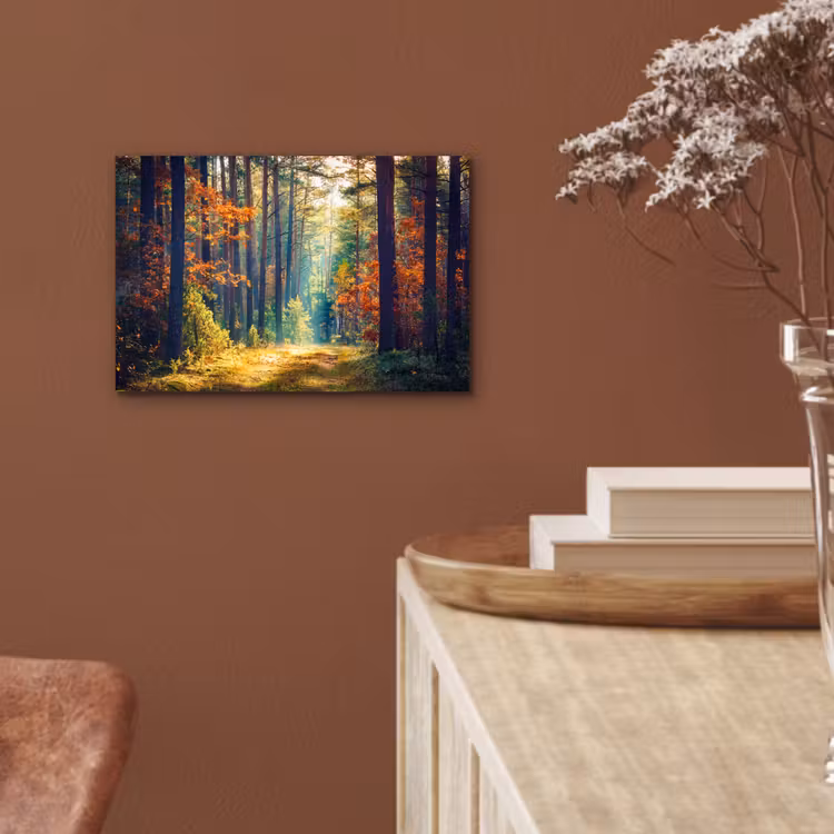 Aluminium schilderij - Bos - Zon - Natuur - Herfst — 5