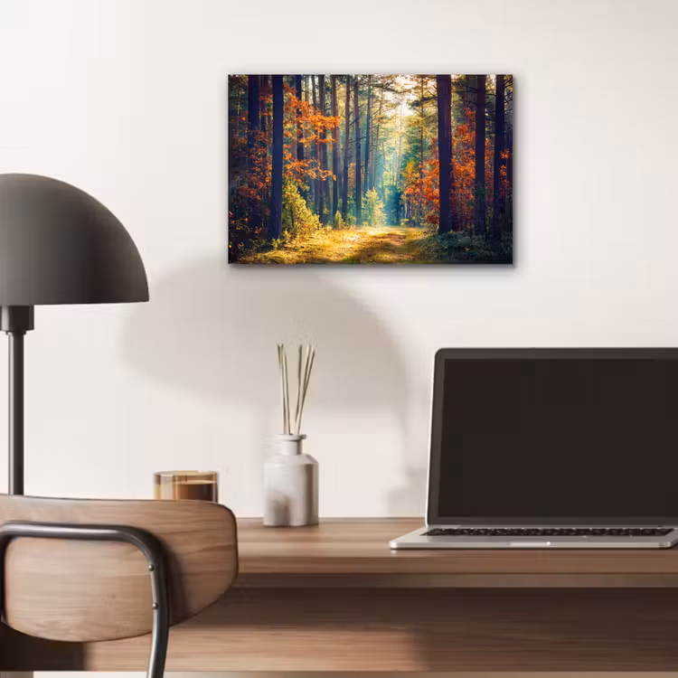 Aluminium schilderij - Bos - Zon - Natuur - Herfst — 6