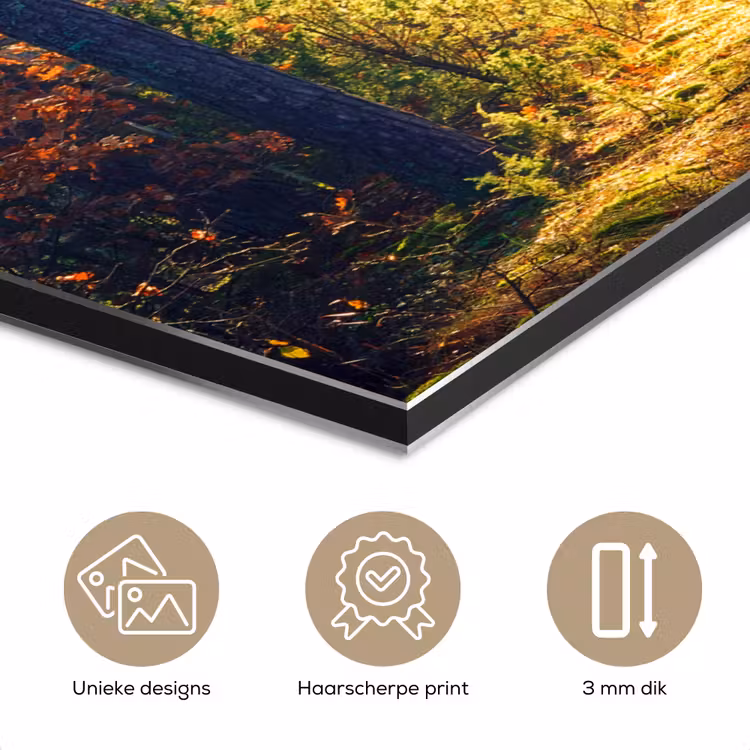 Aluminium schilderij - Bos - Zon - Natuur - Herfst — 7