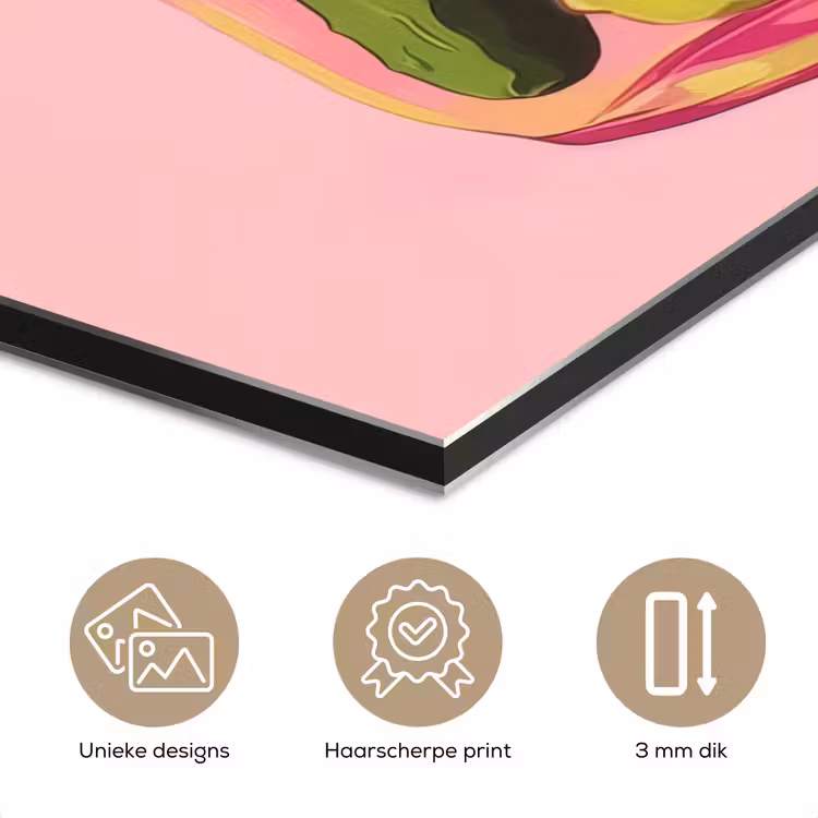 Aluminium schilderij - Augurken - Pot - Schaduw - Roze — 7
