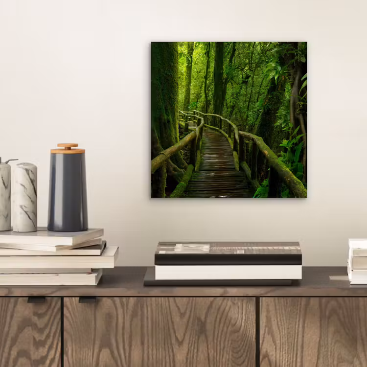 Aluminium schilderij - Jungle - Brug - Mos - Natuur - Tropisch — 2