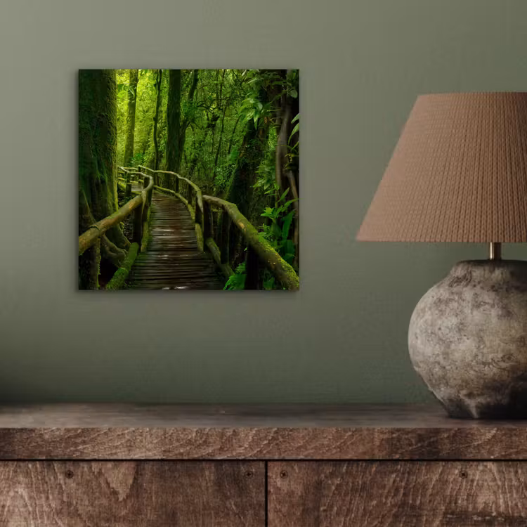 Aluminium schilderij - Jungle - Brug - Mos - Natuur - Tropisch — 3