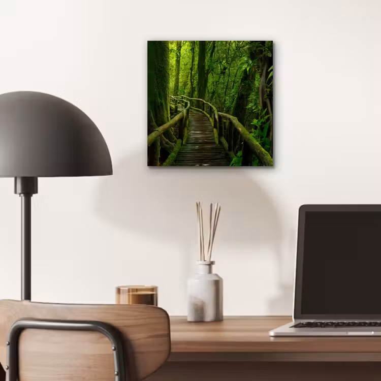 Aluminium schilderij - Jungle - Brug - Mos - Natuur - Tropisch — 6
