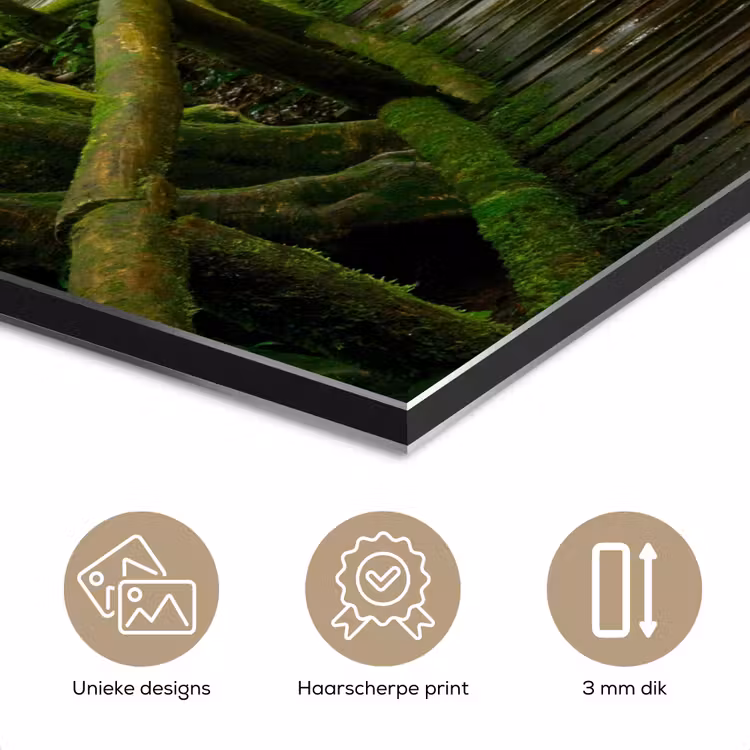 Aluminium schilderij - Jungle - Brug - Mos - Natuur - Tropisch — 7