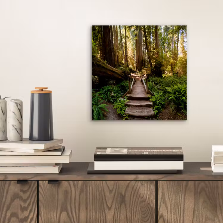 Aluminium schilderij - Jungle - Natuur - Trap - Bomen — 2