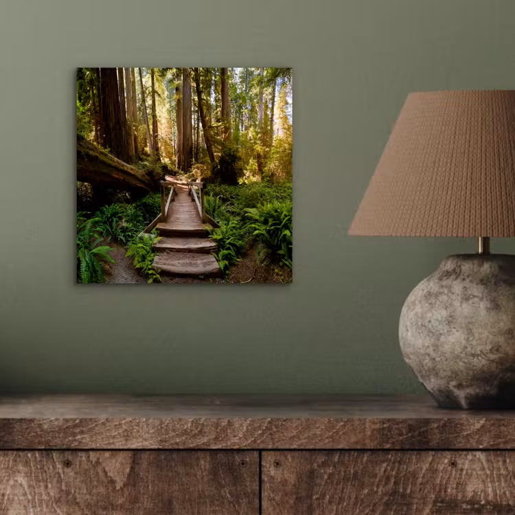 Aluminium schilderij - Jungle - Natuur - Trap - Bomen — 3