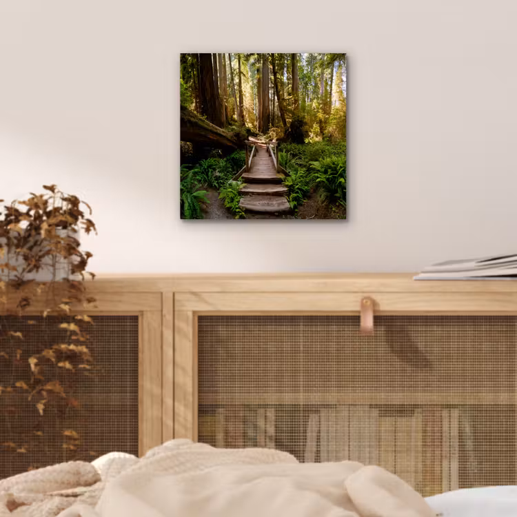 Aluminium schilderij - Jungle - Natuur - Trap - Bomen — 4