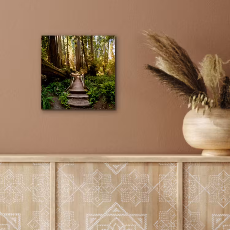 Aluminium schilderij - Jungle - Natuur - Trap - Bomen — 5