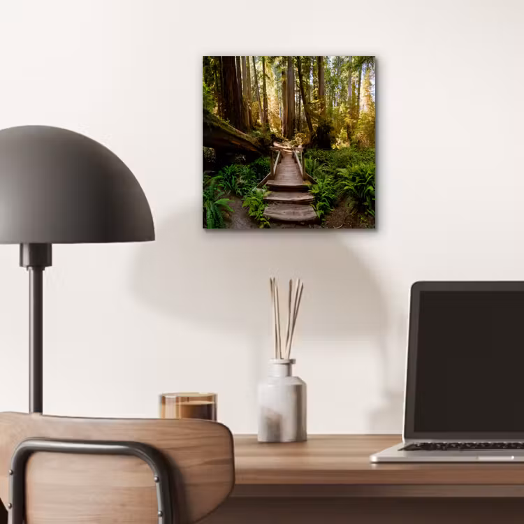 Aluminium schilderij - Jungle - Natuur - Trap - Bomen — 6