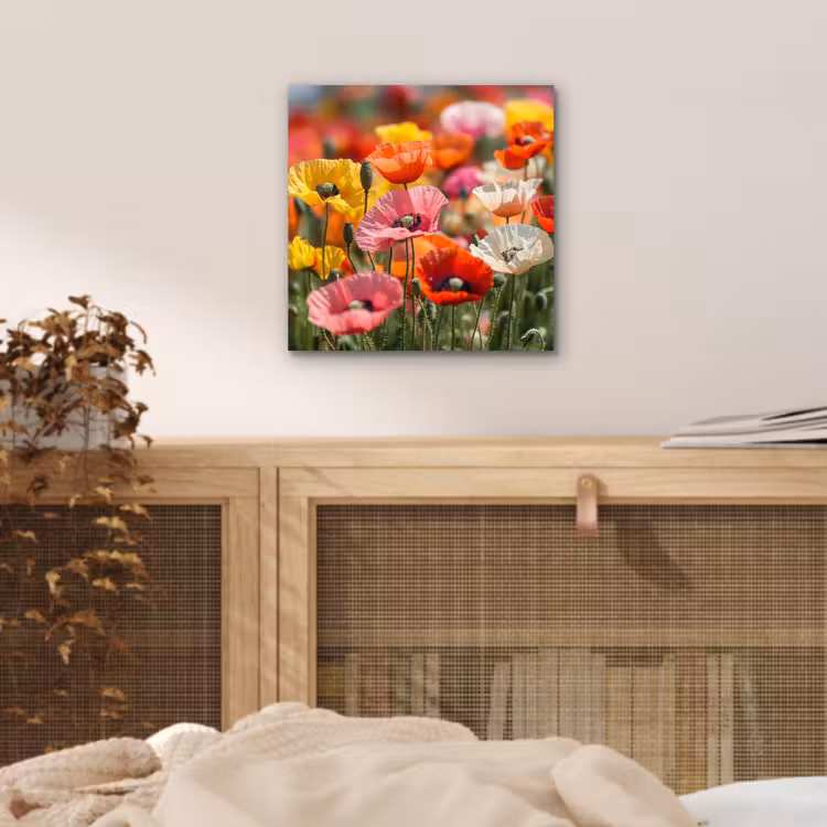 Aluminium schilderij - Bloemenveld - Klaprozen - Kleurrijk — 4