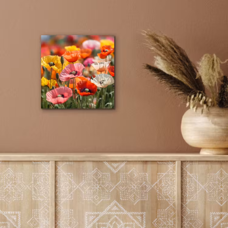 Aluminium schilderij - Bloemenveld - Klaprozen - Kleurrijk — 5