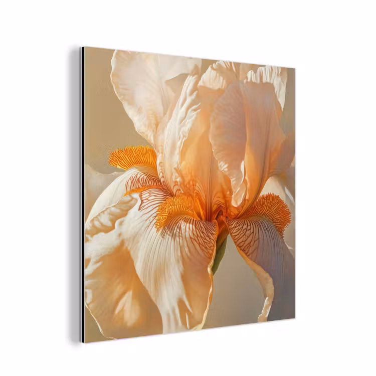 Aluminium schilderij - Close up - Oranje - Iris — 1