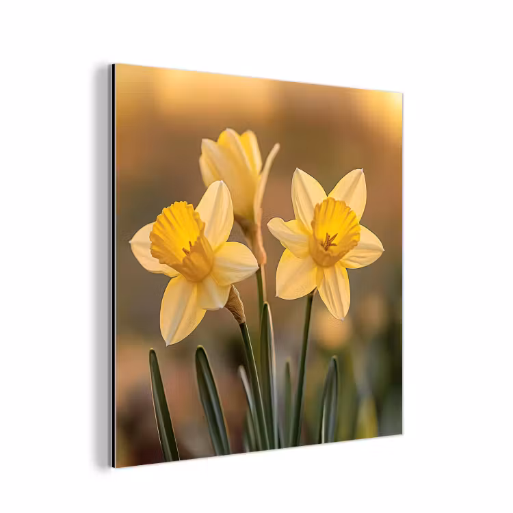 Aluminium schilderij - Bloemen - Geel - Wazig — 1
