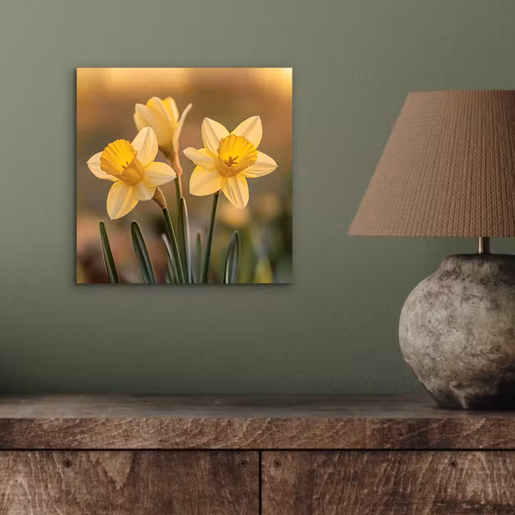 Aluminium schilderij - Bloemen - Geel - Wazig — 3