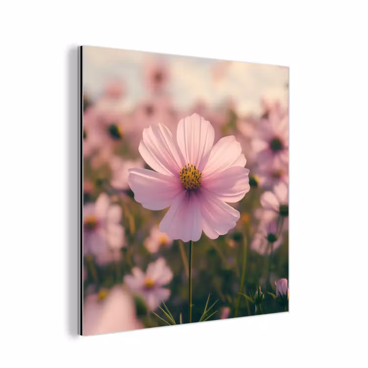 Aluminium schilderij - Bloemen - Paars - Wazig — 1