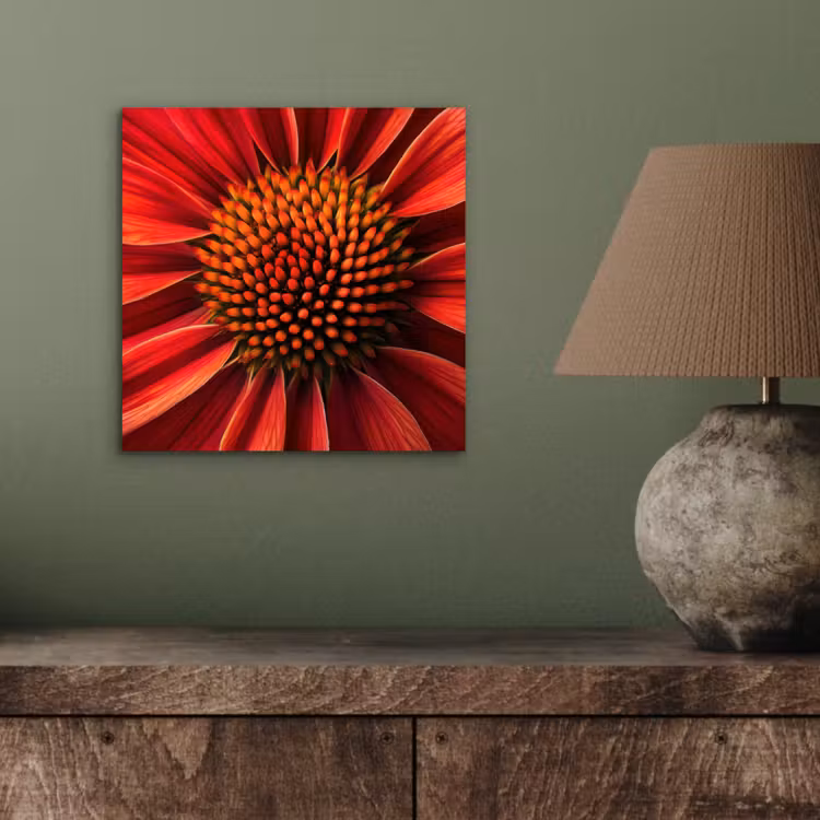 Aluminium schilderij - Close up - Bloem- Rood — 3