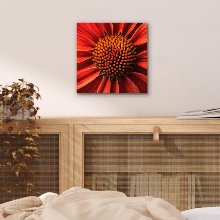 Aluminium schilderij - Close up - Bloem- Rood — 4