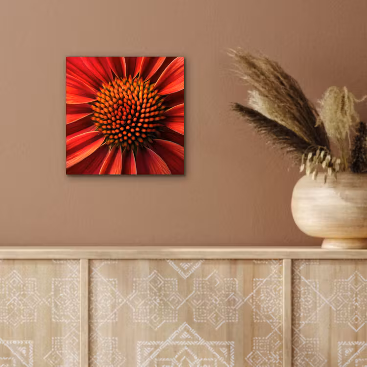 Aluminium schilderij - Close up - Bloem- Rood — 5