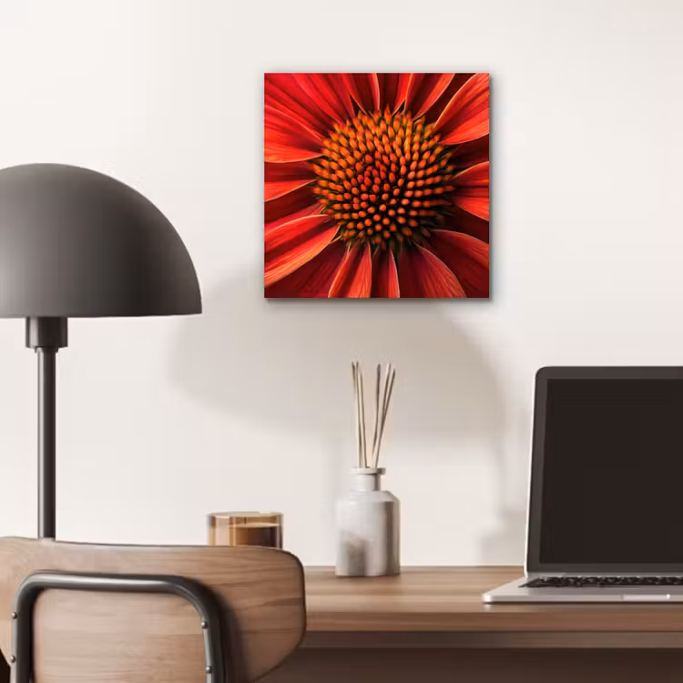 Aluminium schilderij - Close up - Bloem- Rood — 6