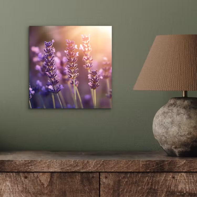 Aluminium schilderij - Lavendelbloemen - Paars - Zonlicht — 3