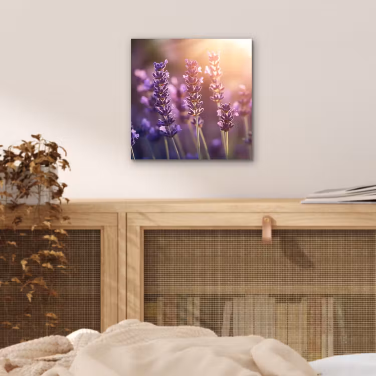 Aluminium schilderij - Lavendelbloemen - Paars - Zonlicht — 4