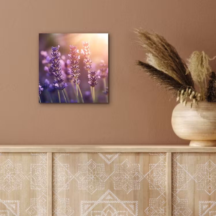 Aluminium schilderij - Lavendelbloemen - Paars - Zonlicht — 5