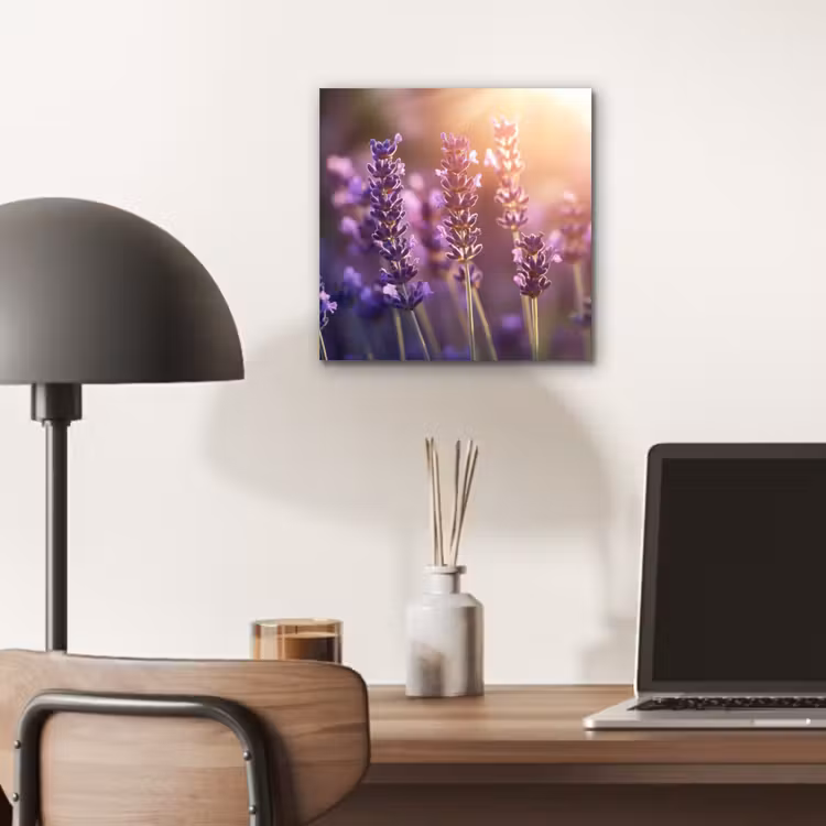 Aluminium schilderij - Lavendelbloemen - Paars - Zonlicht — 6