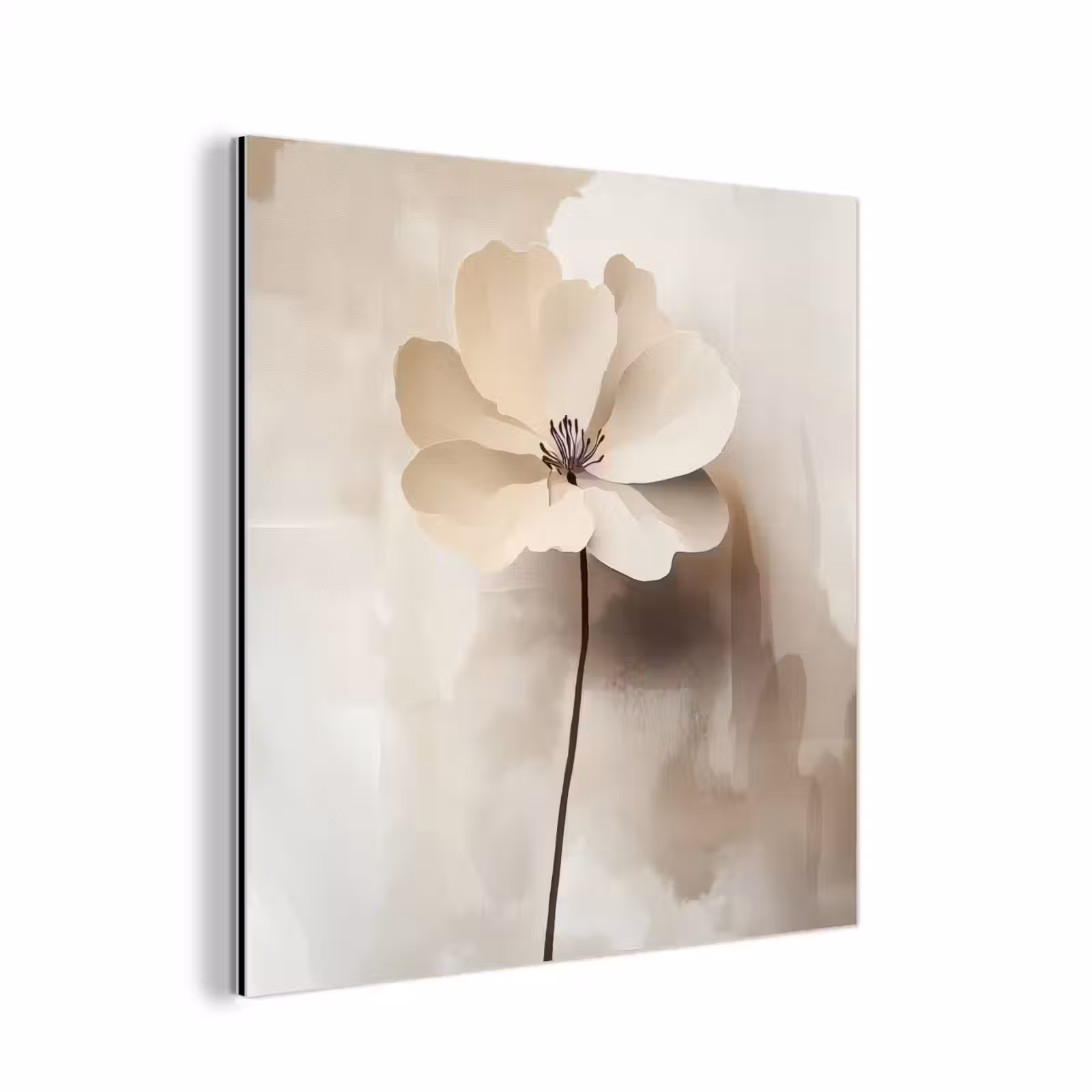 Aluminium schilderij - Bloem - Beige - Verf - Schaduw — 1