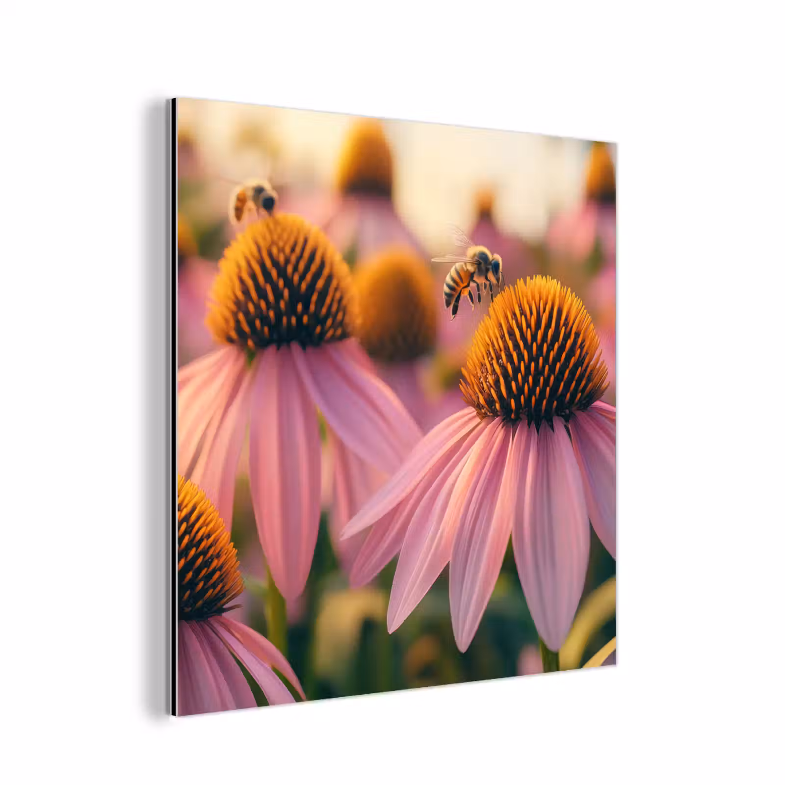 Aluminium schilderij - Bloemen - Paars - Bijen — 1