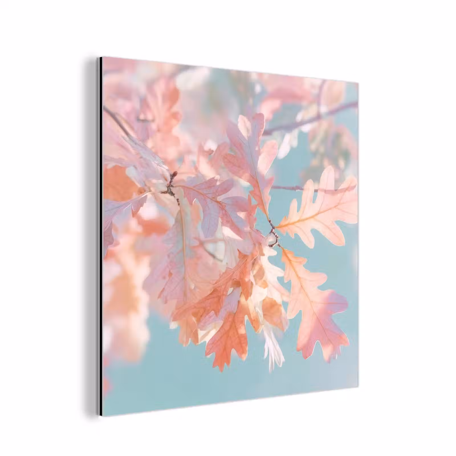 Aluminium schilderij - Eikenbladeren - Takken - Roze — 1