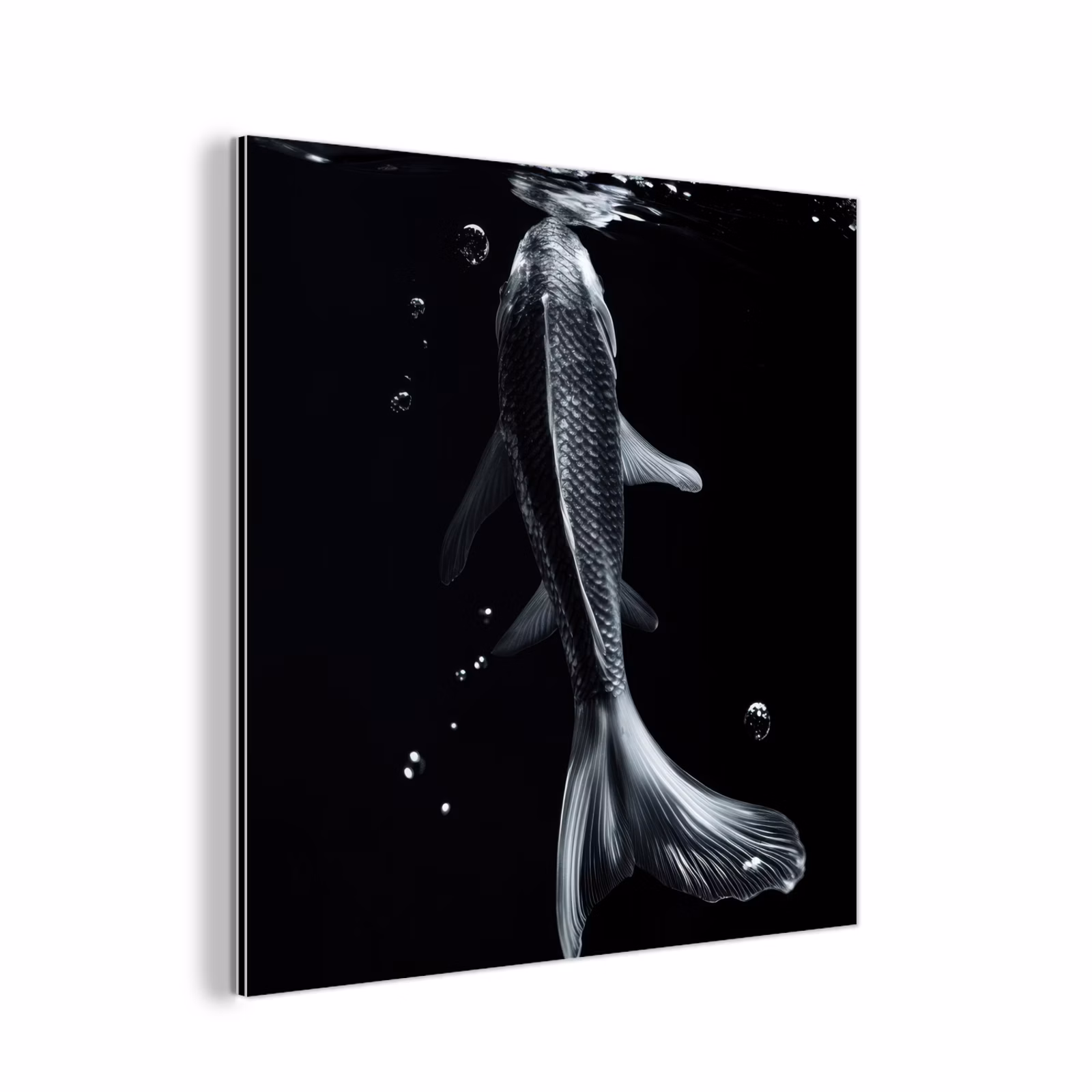 Aluminium schilderij - Koi - Vissen - Water - Zwart — 1