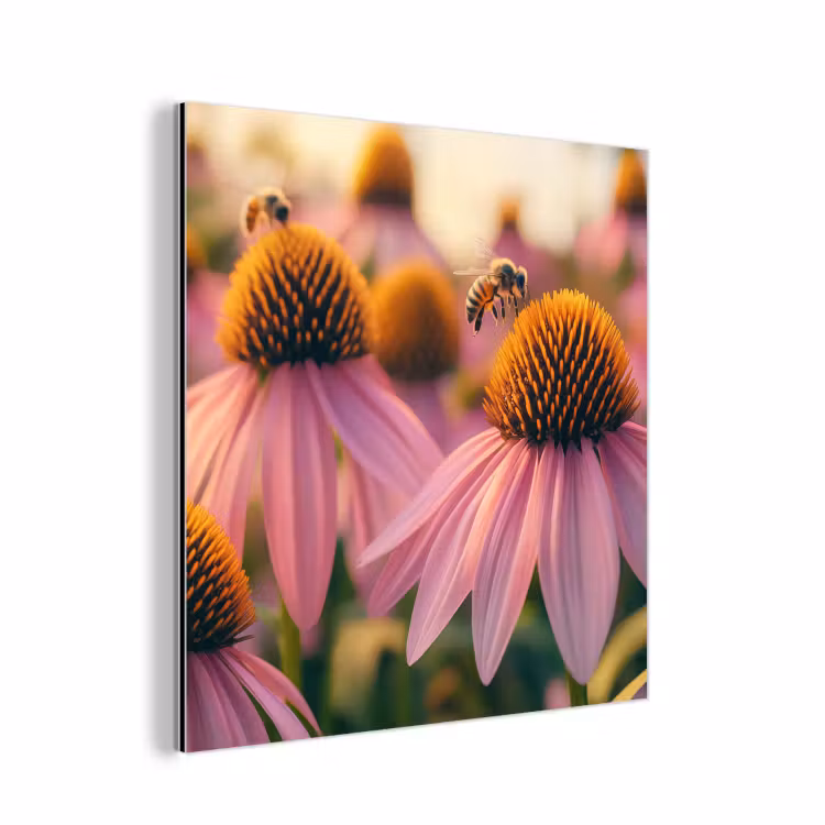 Aluminium schilderij - Bloemen - Paars - Bijen — 1