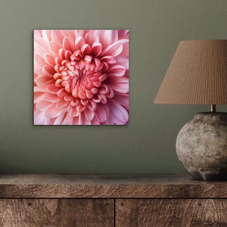 Aluminium schilderij - Dahlia - Bloem - Close up - Roze — 3