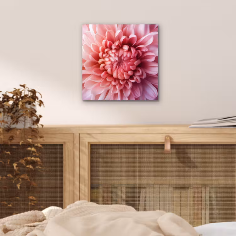 Aluminium schilderij - Dahlia - Bloem - Close up - Roze — 4