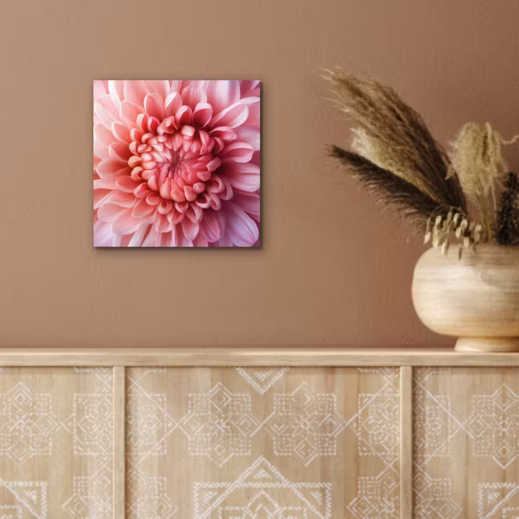 Aluminium schilderij - Dahlia - Bloem - Close up - Roze — 5