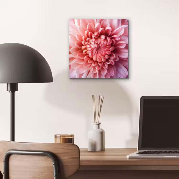 Aluminium schilderij - Dahlia - Bloem - Close up - Roze — 6