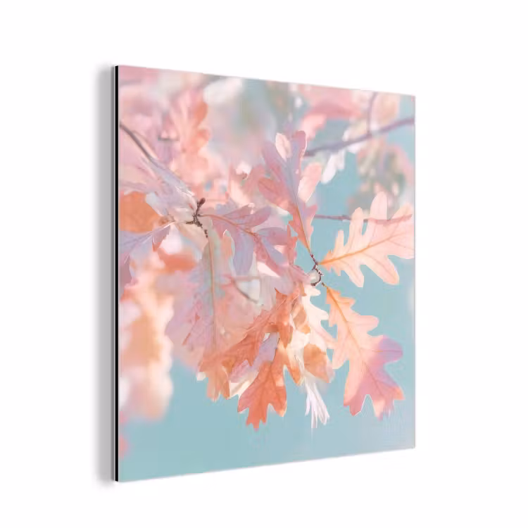 Aluminium schilderij - Eikenbladeren - Takken - Roze — 1