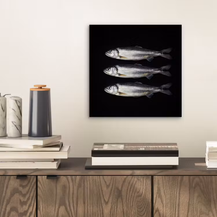 Aluminium schilderij - Haring - Vissen - Zwart — 2