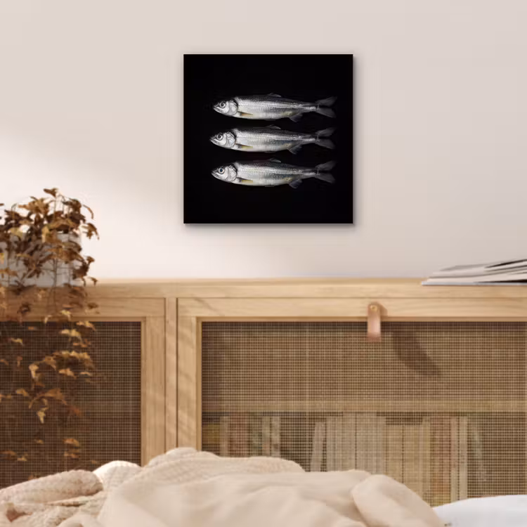 Aluminium schilderij - Haring - Vissen - Zwart — 4
