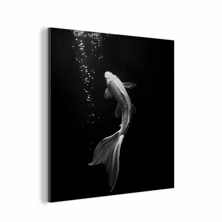 Aluminium schilderij - Koi - Vis - Wit - Zwart — 1