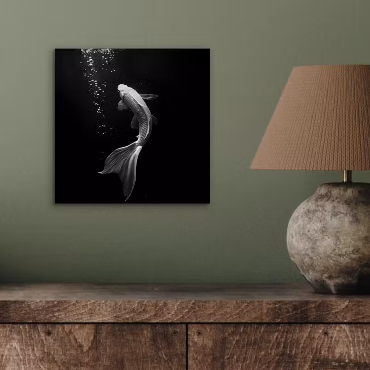 Aluminium schilderij - Koi - Vis - Wit - Zwart — 3