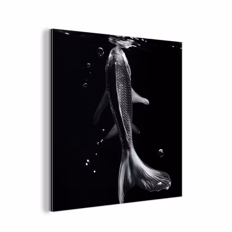 Aluminium schilderij - Koi - Vissen - Water - Zwart — 1